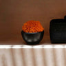 the-burned-bowl-black-s