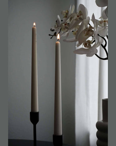 Velas blancas cónicas aromáticas de peonia