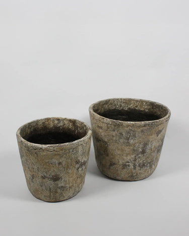 Juego de Macetas de Lirio en Beige y Gris - Set de 2