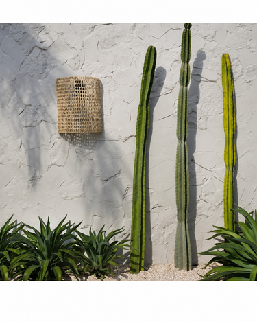 Aplique de pared de sisal natural de Bazar Bizar, colgado en una pared junto a cactus