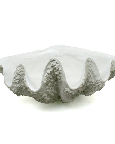 Detalle cuenco XL blanco envejecido concha Modern Coastal