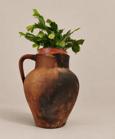 Jarra de barro utilizada como cubremaceta con planta de atrezzo