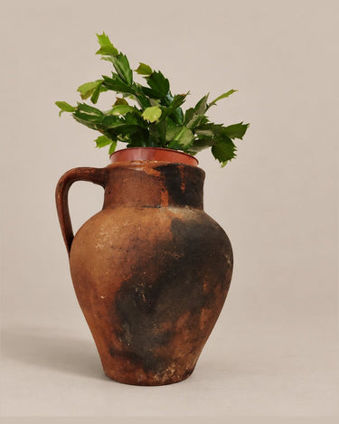 Jarra de barro utilizada como cubremaceta con planta de atrezzo