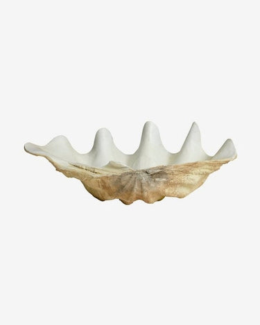 Additional view of KICHI Large White Decorative Shell – Nordal