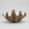 Cuenco decorativo XL de polyresina con textura de concha Modern Coastal