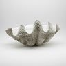 Cuenco decorativo XL de poliresina concha blanca Modern Coastal