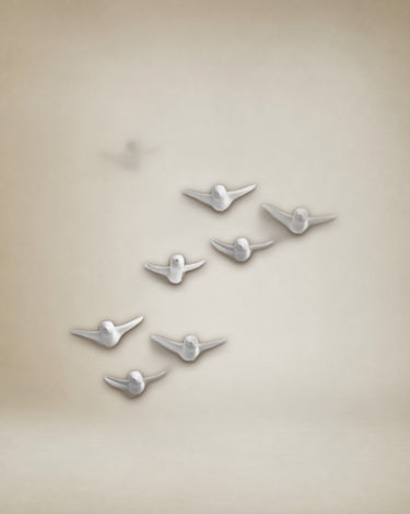 Conjunto de ganchos de pared blancos