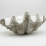 Cuenco decorativo XL de poliresina concha blanca Modern Coastal