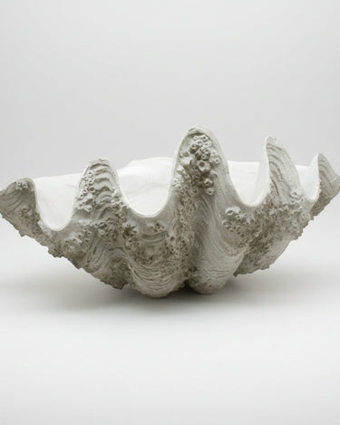 Cuenco decorativo XL de poliresina concha blanca Modern Coastal
