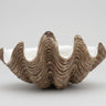 Cuenco decorativo XL de polyresina con textura de concha Modern Coastal