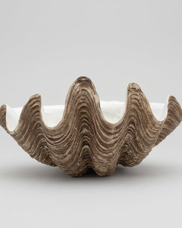 Cuenco decorativo XL de polyresina con textura de concha Modern Coastal