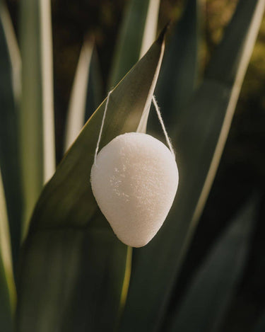 Esponja facial de konjac natural