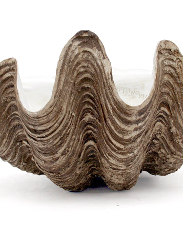 Cuenco decorativo grande concha polyresina Modern Coastal