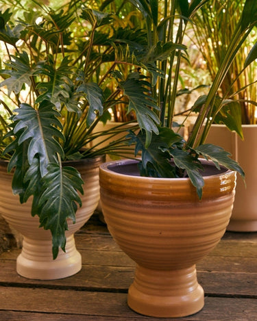 Matte finish stoneware planter by HK Living in an interior with plants