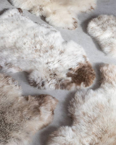 Piel de oveja Texel moteada natural para hogar y decoración