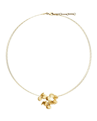 Gargantilla dorada Arai