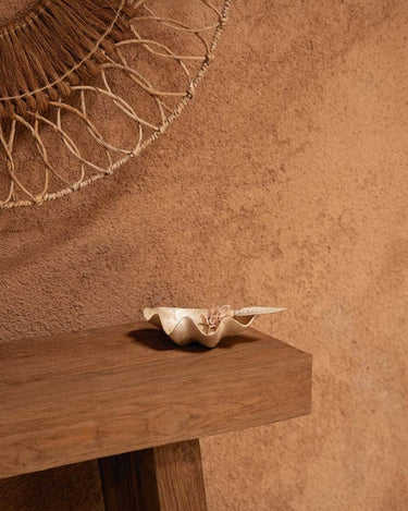 Jabonera de nácar blanco vista de perfil sobre un banco de madera