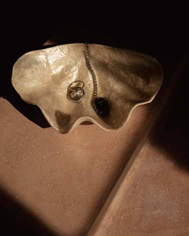 Detalle de jabonera pequeña de nácar blanco