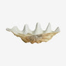 Concha decorativa grande blanca beige Nordal