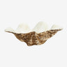 Concha decorativa pequena marron blanca Nordal