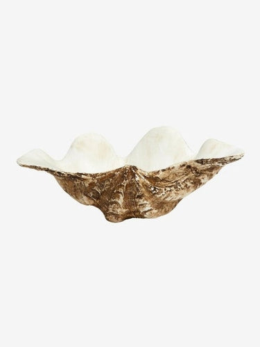 Concha decorativa pequena marron blanca Nordal