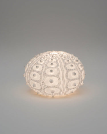 Lámpara de mesa de arenisca blanca con textura de erizo