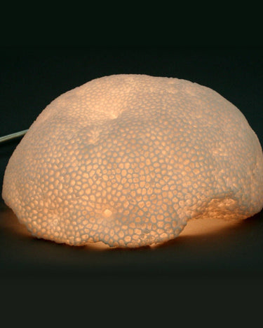 Lámpara de sobremesa Galaxy Coral de arenisca