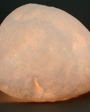 Lámpara de sobremesa de arenisca coral grande