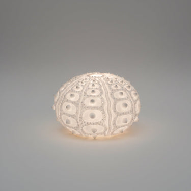 Lámpara de mesa de arenisca blanca con textura urchin