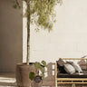 Maceta de arcilla color humo extragrande de Tine K Home