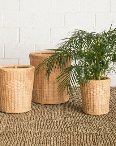 Handcrafted set of three round rattan planters
