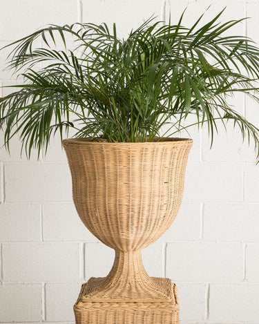 https://professional.mahehomeware.com/wp-content/uploads/2023/09/mahehomeware-rattan-pedestal-vase-atenea-large.jpg
