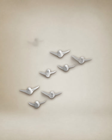 Conjunto de ganchos de pared blancos