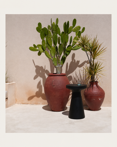 Mesa auxiliar negra de madera de suar, en una composición con grandes jarrones y plantas