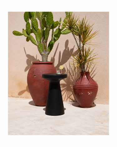 Mesa auxiliar negra de madera de suar, vista frontal de conjunto entre jarrones con plantas