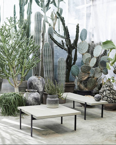 Mesa de centro MUUBS en una zona de estar rodeada de vegetación