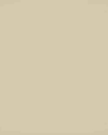 Muestra lisa de color beige claro.