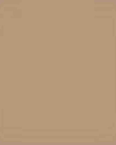 Muestra lisa de color beige tostado.