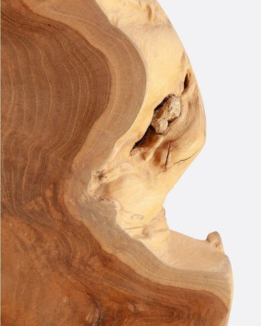 Mesa de centro ROOT de raíz de teca natural y hierro — detalle 4