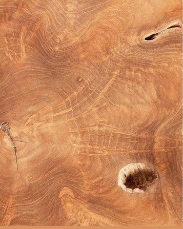 Mesa de centro ROOT de raíz de teca natural y hierro — detalle 5