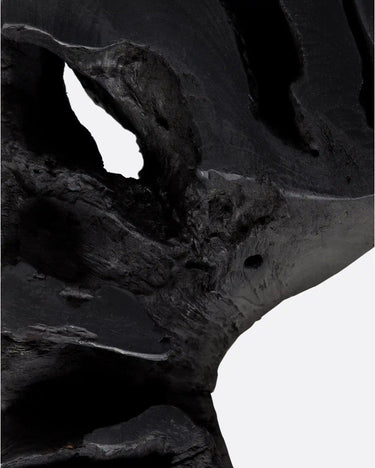 Mesa de centro ROOT de raíz de teca negra y hierro — detalle 4