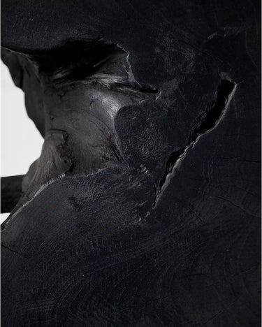 Mesa de centro ROOT de raíz de teca negra y hierro — detalle 5