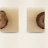 Set de pomos de resina con incrustación de madera