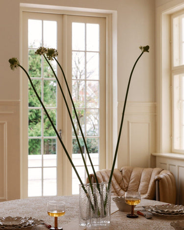 White stoneware dinner plate in a dining setting