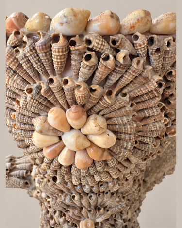 Primer plano de las conchas y el motivo floral del jarrón vintage francés