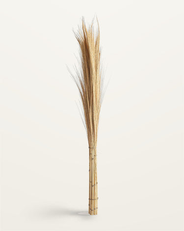 Ramas decorativas de fibra natural marrón de Vical