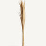 Ramas decorativas de fibra natural marrón de Vical
