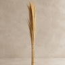 Ramas decorativas Vical de fibra natural marrón sobre fondo topo claro texturizado