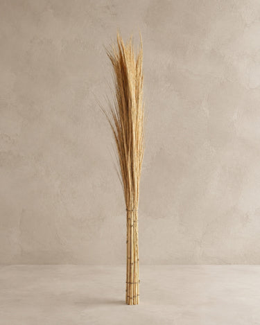 Ramas decorativas Vical de fibra natural marrón sobre fondo topo claro texturizado