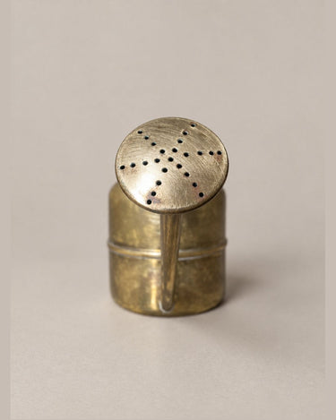 Regadera vintage de metal dorado y caño largo — detalle de la roseta perforada